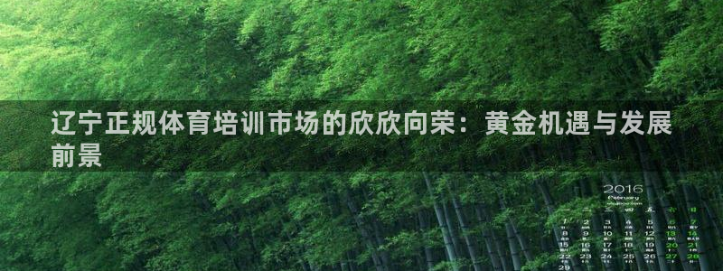 耀世娱乐出款快吗知乎：辽宁正规体育培训市场的欣欣向荣：黄金机